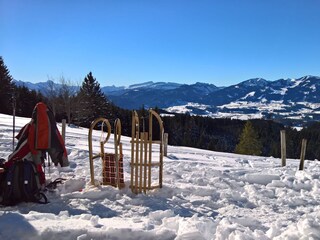 Rodeln Richtung Altstädter Hof