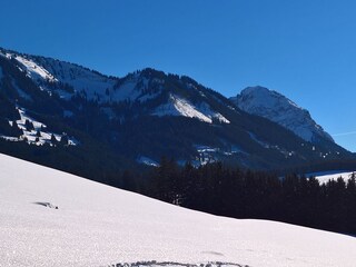 Wintertage Richtung Süden