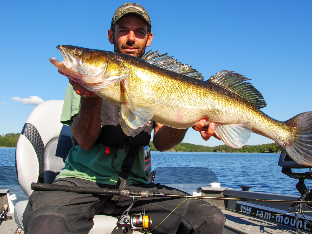 Zander Angeln in Schweden am See Bunn