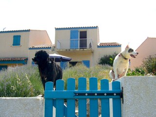 Casa de vacaciones Saint-Pierre-la-Mer Grabación al aire libre 6