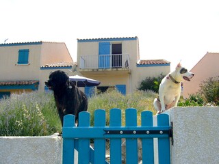 Maison de vacances Saint-Pierre-la-Mer Enregistrement extérieur 6