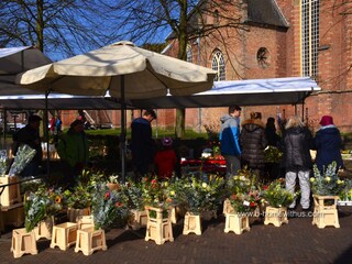 Jeden Samstag Markt in Bergen Zentrum