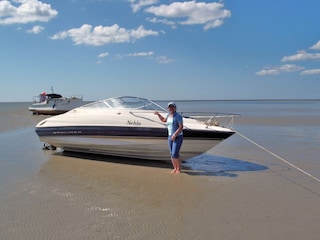 trockengefallene Sandbank