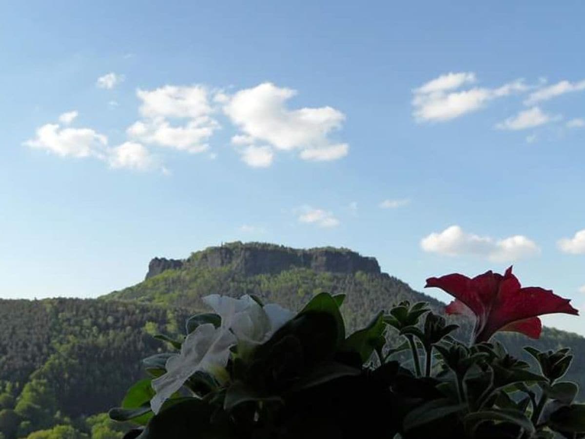 Blick zum Lilienstein