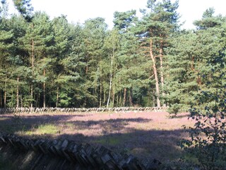 Heidefläche Schäferhof