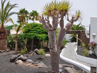 Villa Morro Jable Buitenaudio-opname 10