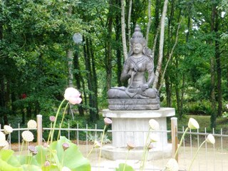 Vakantiehuis Brétignolles-sur-Mer Omgeving 33