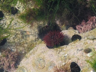 Casa per le vacanze Brétignolles-sur-Mer Ambiente 24