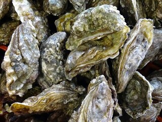 Vakantiehuis Brétignolles-sur-Mer Omgeving 26