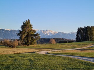 der Weg ins Feriendorf vom Badesee aus
