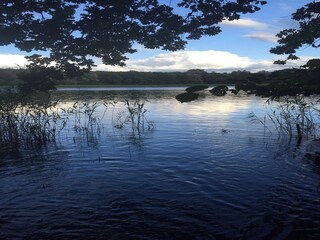 Appartamento per vacanze Conow Ambiente 17