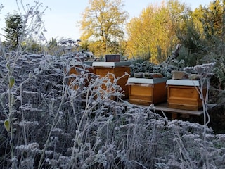 Winter am Honighaus