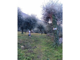 Appartamento per vacanze Brenzone sul Garda Ambiente 39