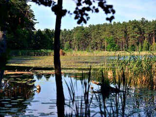 Naturidylle Mühlensee