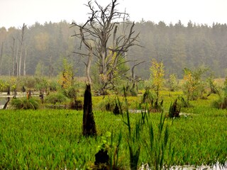 Mühlensee