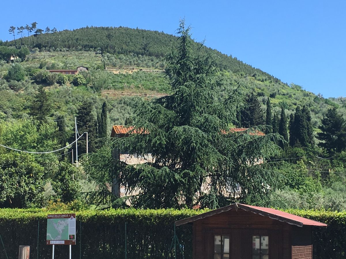 Holiday House Villa Leonardo Capannori Company Martina