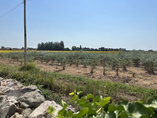 Appartamento per vacanze Pisa Registrazione all'aperto 7