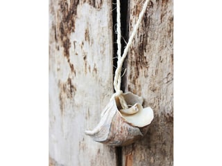 Ferienwohnung Rerik Außenaufnahme 3