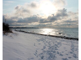 Ferienwohnung Rerik Umgebung 12