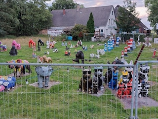 Tiere pflegeleicht in Varel