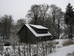 Ferienhaus Lydia - Landkreis Waldeck-Frankenberg (Sauerland) - image1