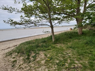 Vakantieappartement Am schwarzen Busch Buitenaudio-opname 13