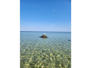 Vakantieappartement Am schwarzen Busch Buitenaudio-opname 12