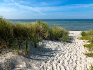 Vakantieappartement Am schwarzen Busch Buitenaudio-opname 6