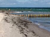 Strand Am Schwarzen Busch