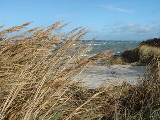 Appartamento per vacanze Am schwarzen Busch Ambiente 27