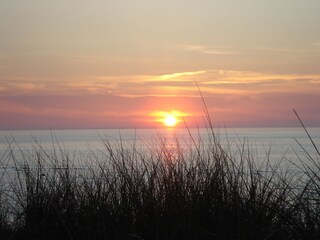 Appartamento per vacanze Am schwarzen Busch Ambiente 31