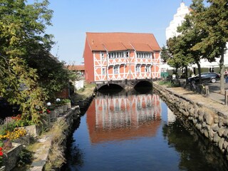 Appartamento per vacanze Am schwarzen Busch Ambiente 39