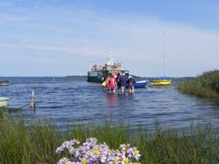 Appartamento per vacanze Am schwarzen Busch Ambiente 37
