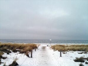 Ferienwohnung "Strandidyll" 50m Strandentfernung - Am schwarzen Busch - image1