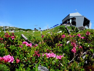 Appartamento per vacanze Grainau Ambiente 24