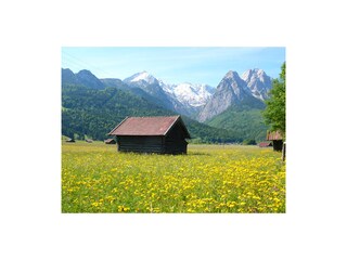 Appartamento per vacanze Grainau Ambiente 25