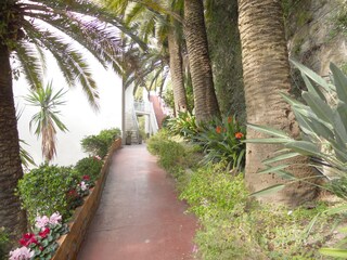 Appartamento per vacanze Ospedaletti Ambiente 14