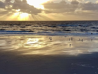 Ferienwohnung St. Peter-Ording Umgebung 23