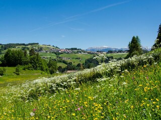 Appartamento per vacanze Deutschnofen Ambiente 13