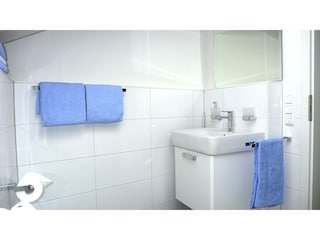 Little bathroom with shower, WC, wash basin