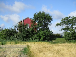 Mitten in der Natur