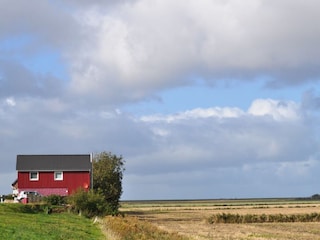 Das Rote Atelierhaus am Feldrand