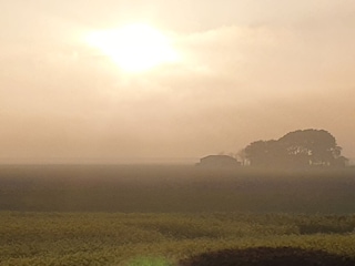 Blick von der Bank abends