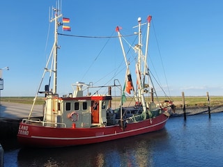 Im Hafen von Nordstrand