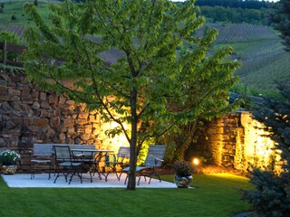 Blick in den Garten am Abend