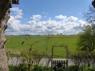 Blick in die Umgebung