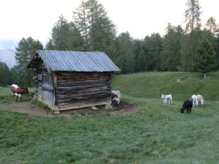 Appartamento per vacanze St. Martin in Thurn Ambiente 20