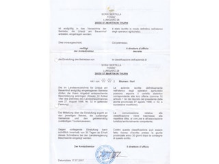 Appartamento per vacanze St. Martin in Thurn Documento 30