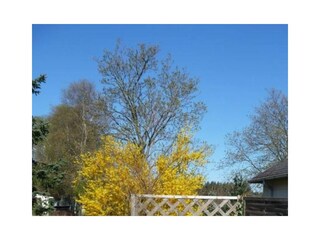 Terrasse und Garten