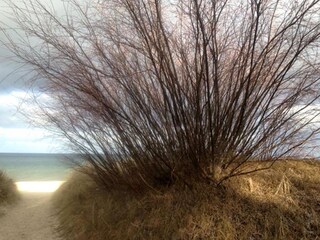 Weg zum Strand